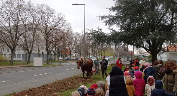 Travail respectueux du sol avec un cheval